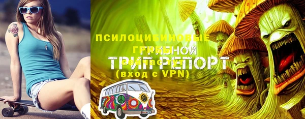 амф Осинники