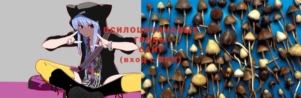 спиды Осташков