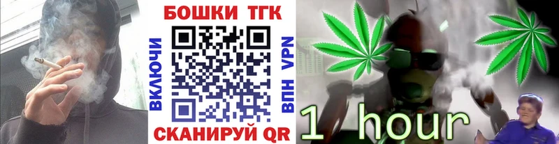 Бошки марихуана план Болхов